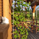 Sowi Kamień * Lomnica (Jelenia Gora)