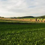 Sowi Kamień Lomnica (Jelenia Gora)