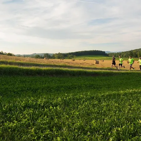 Sowi Kamien Lomnica (Jelenia Gora)