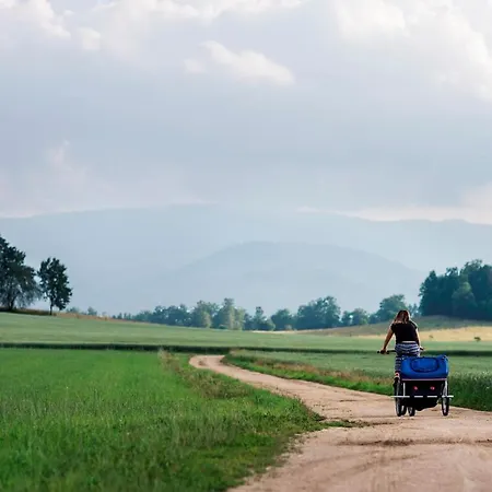 Sowi Kamien Feriehus *