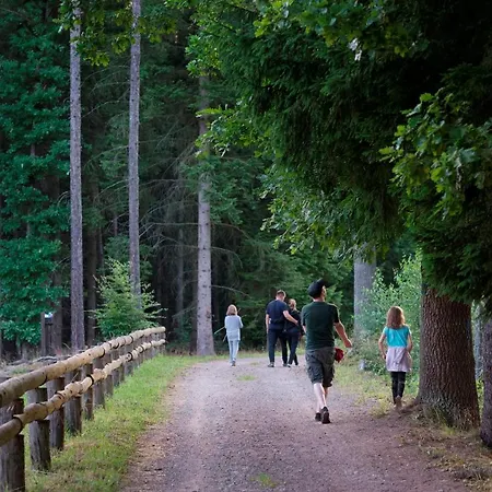 Sowi Kamień Lomnica (Jelenia Gora)