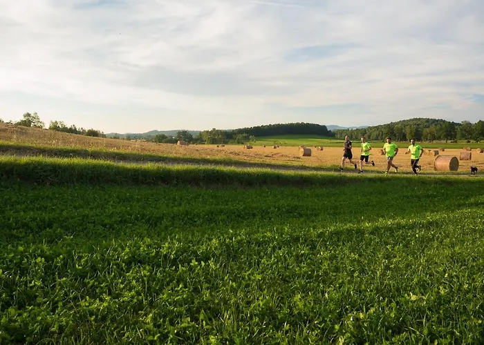 Sowi Kamien Lomnica (Jelenia Gora)